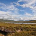 Lac et tourbières / Lake and peatlands